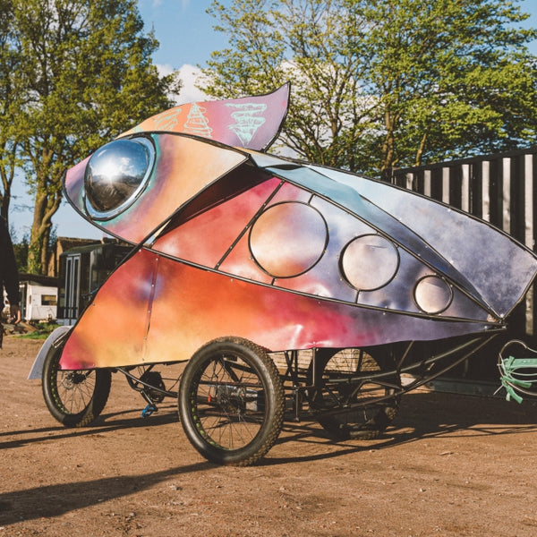 Chamäleon Artbike