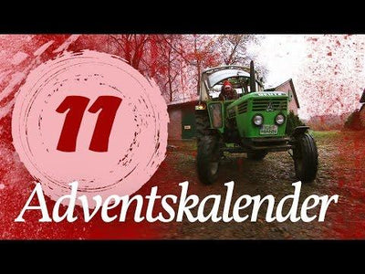 Adventskalender Türchen #11 - Schlittenfahrt | Kliemannsland