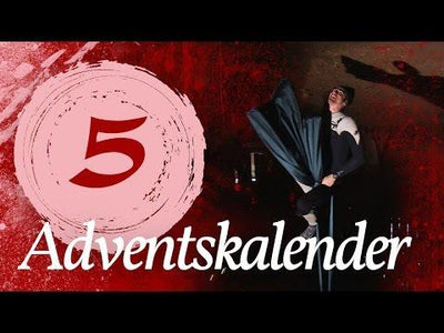 Adventskalender Türchen #05 - Aerial Silk Dance | Kliemannsland