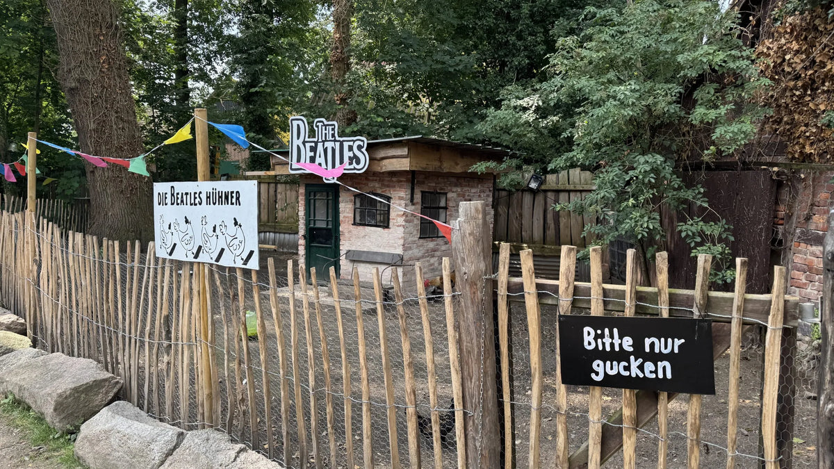Gehege der Beatles-Hühner mit Schild Bitte nur gucken