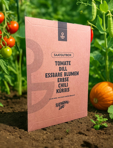 auenland saatgut Saatgut-Box (6 Saatgutsorten vom Kliemannsland) – kliemannsland